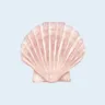 รูปโพรไฟล์ของ natalie 🐚