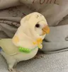 ivy님의 프로필 사진